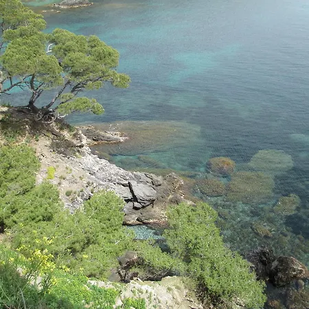 Hotel Ibis Styles Rooftop & Hyères